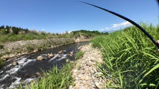 【渓流釣り】那珂川支流　余笹川でヤマメ釣り