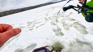 ДОЖДАЛИСЬ ВЕЧЁРА и НЕ ЗРЯ, ОН ПОДНЯЛСЯ и УДАРИЛ. Рыбалка на раттлины зимой в 2025