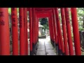 【東京散歩】 根津神社の乙女稲荷神社の千本鳥居 tokyo woｌk. nezu shrine tokyo japan