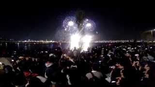 2014 Seoul International Fireworks Festival