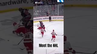 Meet The NHL Part 1#nhlhockey #hockeymemes #nhlteam#winnipegjets #nhlnetwork #nhl #funny #memes#fyp