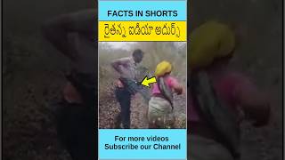 రైతన్న ఐడియా అదుర్స్ #shorts #facts #factsinshorts #farming