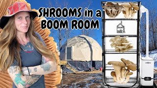 Growing Mushrooms in Our Dome Off Grid