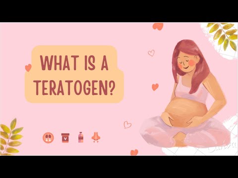 What are the three most potentially harmful things an expectant mother could do that might harm a developing fetus?