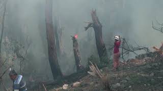 Desperate locals try to put out wildfire in Turkey