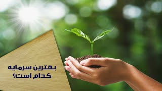 آیا سرمایه داران خوبی  هستیم؟