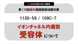 【薬理】イオンチャネル内蔵型受容体｜115D-59｜109C-7｜Na + と CI - が通過する受容体を最低限覚えたい｜第116回歯科医師国家試験対策｜#歯科医師国家試験 #過去問研究