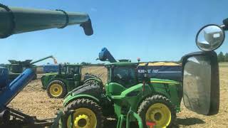 Corn Harvest 2020