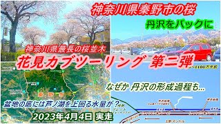 【お花見カブツーリング②】神奈川県唯一の盆地・秦野市水無川沿いの桜と「はだの桜みち」県内最長の桜並木　芦ノ湖を超える水量が地下に潜む盆地を調べるうちにブラタモリ的に南の島だった丹沢や伊豆半島の歴史旅へ