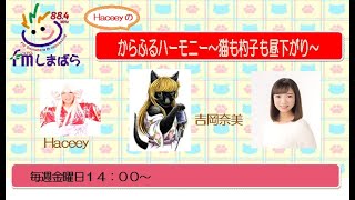 2022年1月21日　【FMしまばら】Haceeyのからふるハーモニー～猫も杓子も昼下がり～