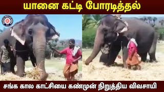 யானை கட்டி போரடித்தல் - சங்க கால காட்சியை கண்முன் நிறுத்திய விவசாயி | Maalaimalar