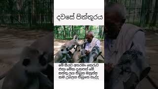 හිතකින්😢😢 වත් හිතන්න එපා