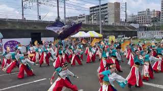 東京よさこいチーム 燦ｰSUNｰ『祝彩ｰSHUKUSAIｰ』【Final Again】／第41回 朝霞市民まつり 彩夏祭【本祭1日目】（2024/08/03）@超熱いぜ‼関八連劇場