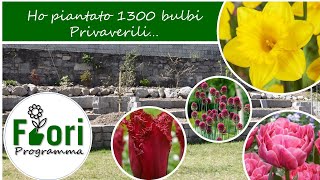 Ho piantato 1300 bulbi 🌷🌷🌷