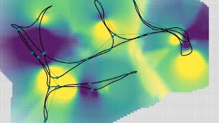 NetLense WiFi Heatmap Report Generator