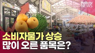 대구경북 소비자물가도 상승…많이 오른 품목은?ㅣ#헬로tv뉴스