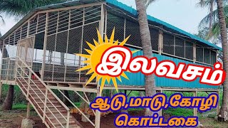 அரசின் இலவச ஆட்டு கொட்டகை எப்படி விண்ணப்பிப்பது? Free Goat shed/ஆடு,மாடு,கோழி கொட்டகைக்கு விண்ணபிதல்