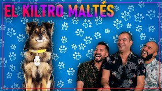 El Kiltro Maltés