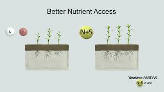 YaraVera AMIDAS - Better Nutrient Access