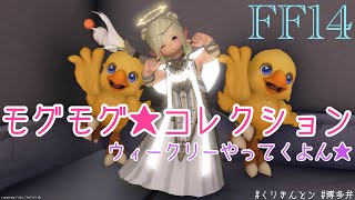 【FF14/博多弁】夜ご飯はおでんとドーナツやけんモグコレウィークリーとルレする🐻【FinalFantasyXIV】