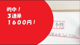 【地方競馬予想】マリーンC Jpn3(4月13日船橋11R 牝馬)予想