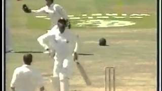 Courtney Walsh - The Textbook Calypso Leave