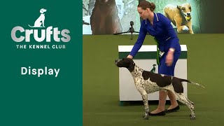 Joe Cartledge Memorial International Junior Handling Competition - Part Two  | ​Crufts 2023