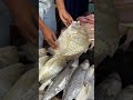 fish market of visakhapatnam