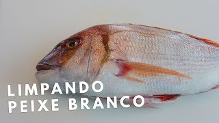 COMO LIMPAR PEIXE BRANCO - PARGO