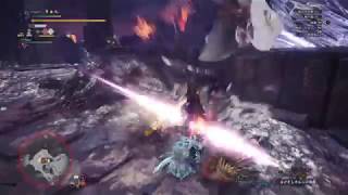 MHW 歴戦クシャルダオラ 操虫棍 02’45”21