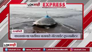 Satellite on the back of a turtle |रत्नागिरीत कासवांच्या पाठीवर बसवले सॅटेलाईट ट्रान्समीटर Ratnagiri