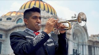Trompeta Mariachi 🎺 Trompeta Mexicana