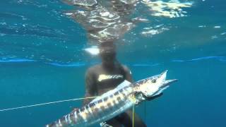 Zanzibar Spearfishing Safari 2014