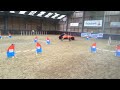 international sheltie 2015 spike jumping