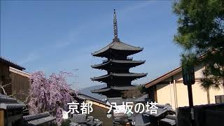 京都　洛東の街並み　2020春