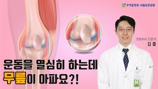 운동을 열심히 하는데 무릎이 아파요 [ft.퇴행성관절염]