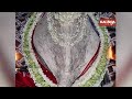 sambalpur maa samaleswari decked in dhabalmukhi besha on mahalaya kalinga tv