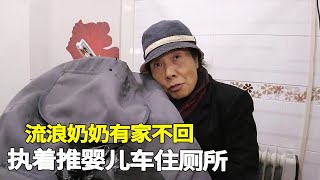 70多岁的怪人奶奶，有家不回推着婴儿车乱逛，声称家中有隐形人【悦贝电影 】