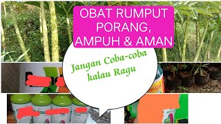 Obat Rumput Tanaman Porang, Aman dan Ampuh