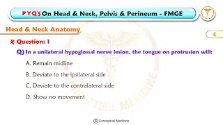 🔥 FMGE Anatomy PYQs – Head, Neck, Pelvis \u0026 Perineum | High-Yield Revision for Sure Shot Success! 💯🧠