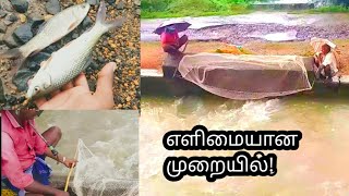 ஓடும் நீரில் கெண்டை மீன் பிடித்தல், Easy fishing trap \u0026 method, you know all?