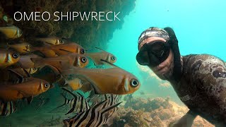 Never seen this many fish | Omeo shipwreck 4k