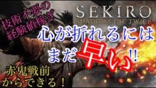 隻狼　効率の良い経験値・金稼ぎ！1分で346ポイント‼︎