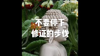 201807 不要停下修证的步伐50528