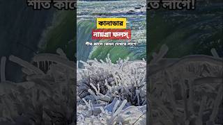 🇨🇦কানাডায় অবস্থিত বিখ্যাত নায়গ্রা জলপ্রপাত শীত কালে অদ্ভুত সুন্দর রূপ ধারণ করে 😍❄️🌈. #shorts #বাংলা