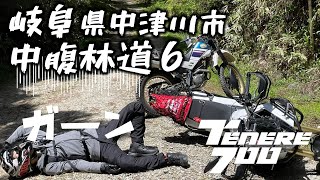 岐阜県中津川市　中腹林道６　TENERE700