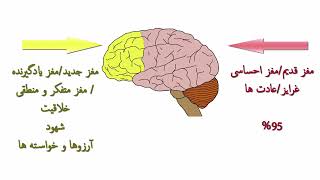 چگونه مغز مسیر عصبی می سازد.قسمت اول.