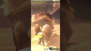 不動の装衣でも着てる？  【MHXX】