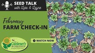 Seed Talk #129 - February Farm Check-in