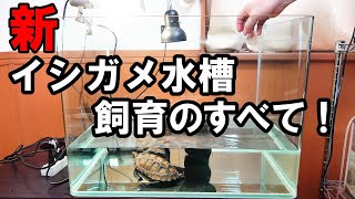 カメ飼育は今すぐ始めた方がいい！その理由！【エサ太郎、引っ越し】